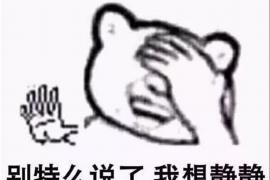 凤庆债务清欠服务