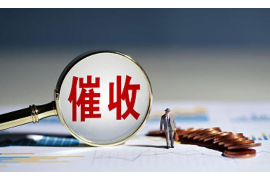 凤庆融资清欠服务