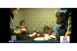 凤庆企业清欠服务